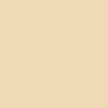BEIGE LIGHT 1015