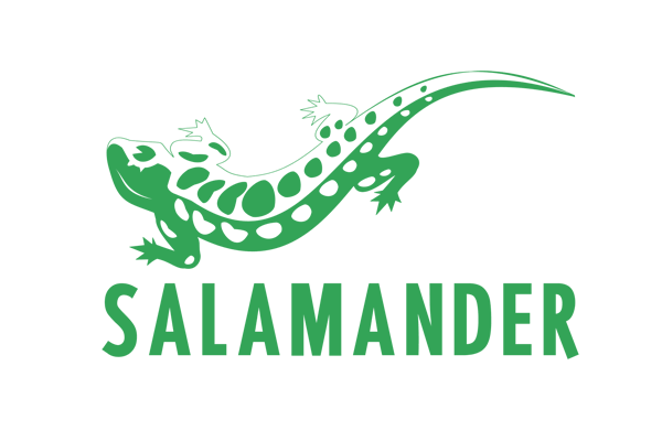Salamander